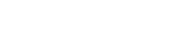Flip-x
