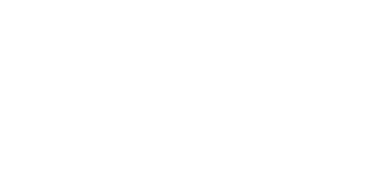 Mini Ninja