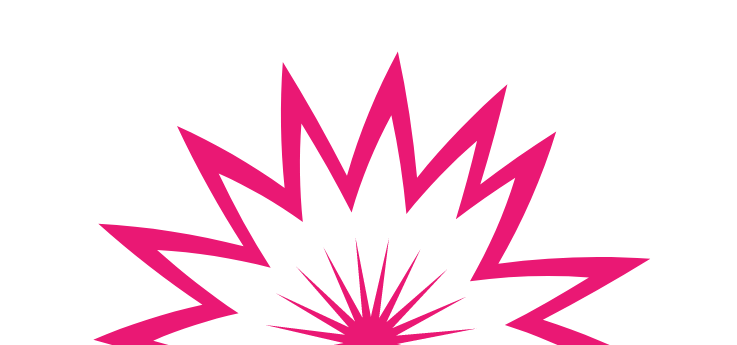 Deep pink explosion icon | Flip Out Australia